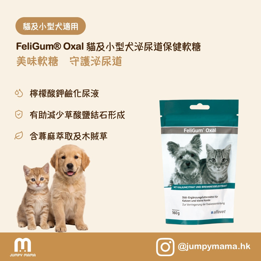 FeliGum® Oxal 泌尿護理軟糖｜減少草酸鈣結石形成・檸檬酸鉀 + 維他命B6｜貓及小型犬 160g