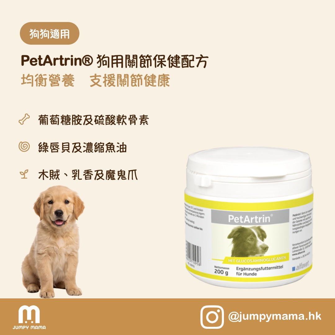 PetArtrin® 關節保健粉｜高濃度 GAGs + 青口精華 + Omega-3・老犬關節退化｜狗用 200g