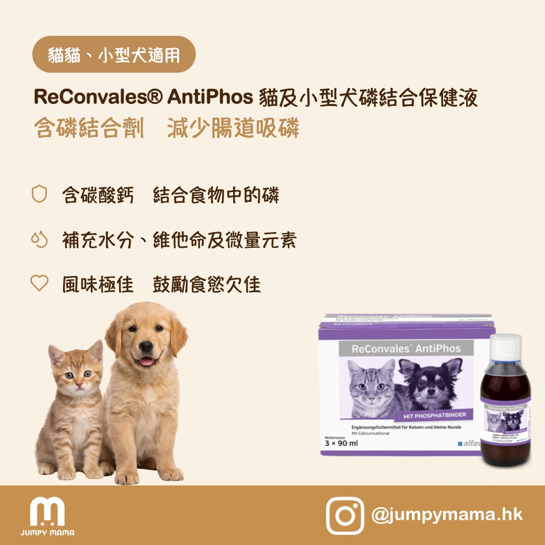 ReConvales® AntiPhos 磷結合劑營養液｜腎臟護理・降低磷吸收・補充水分｜貓及小型犬 3 x 90ml