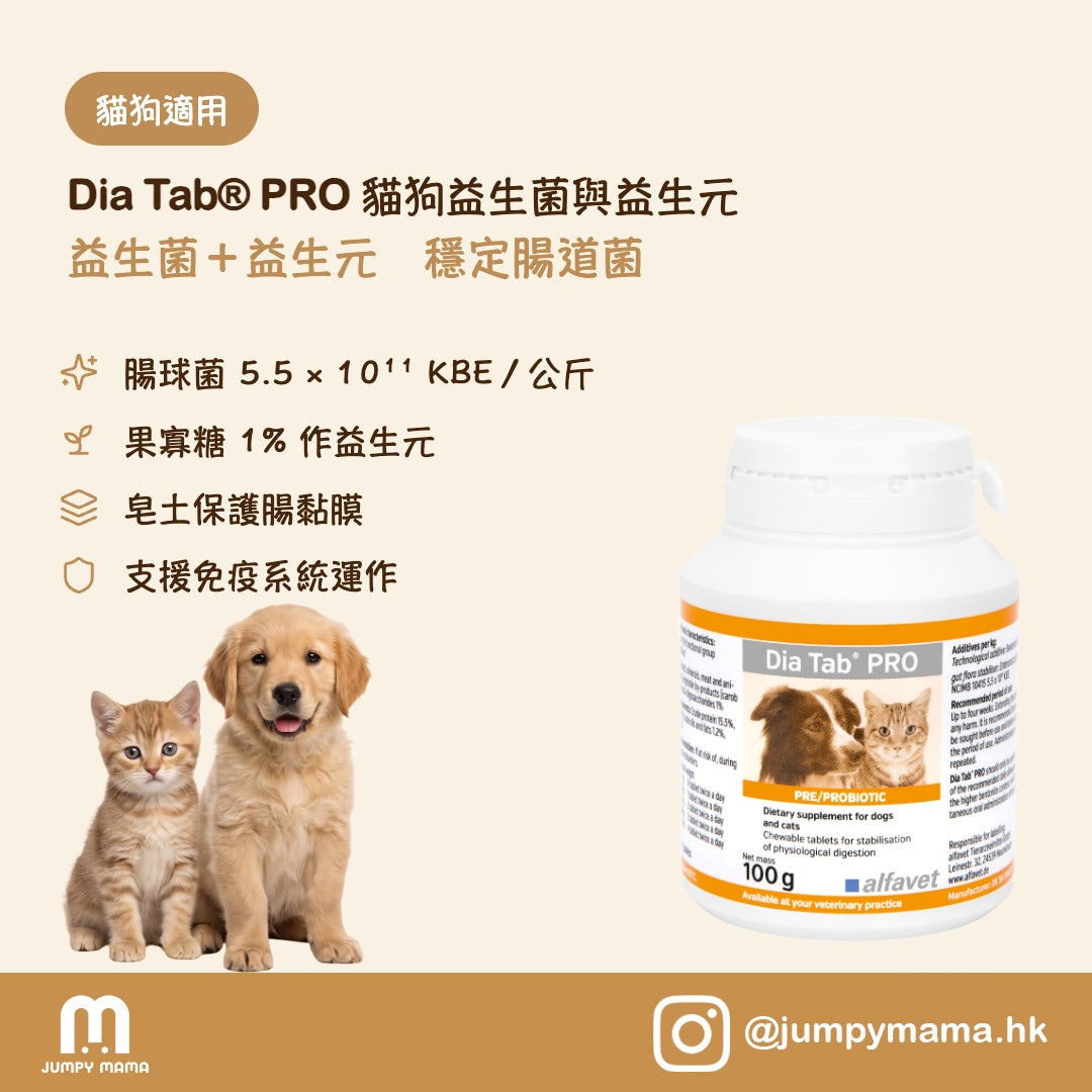 Dia Tab® PRO 腸道益生菌咀嚼片｜益生菌+益生元・長效調理腸胃｜貓狗用 100g