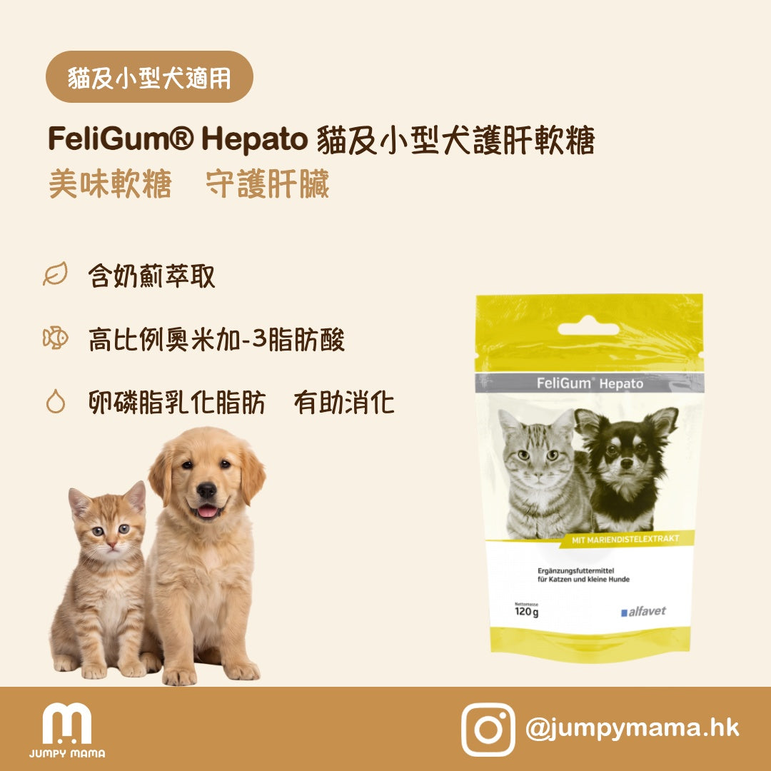 FeliGum® Hepato 護肝軟糖｜奶薊 + Omega-3・肝功能支援｜貓及小型犬 120g