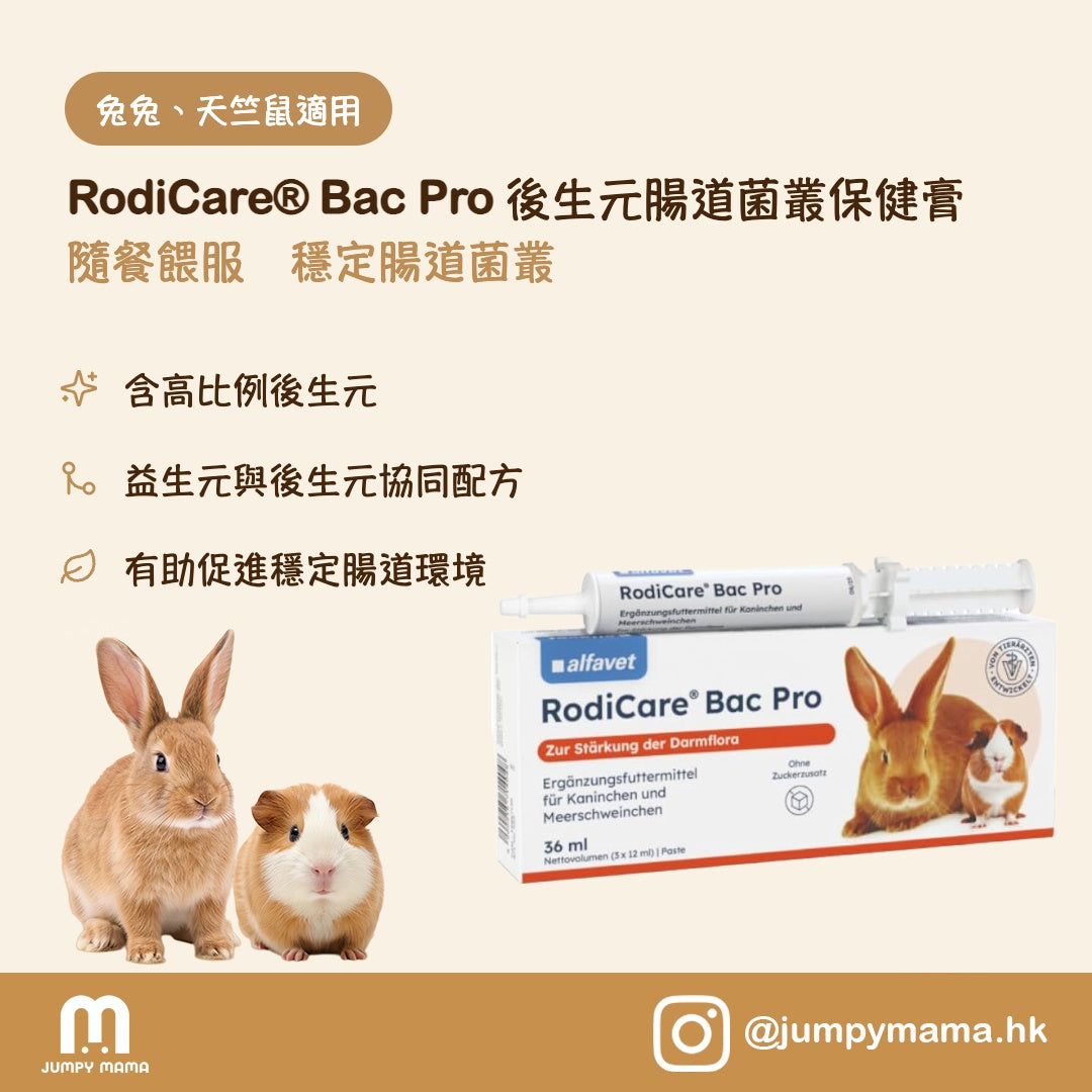 RodiCare® Bac Pro 後生元護腸膏｜非活性益生菌配方｜兔子及天竺鼠 3 x 12ml