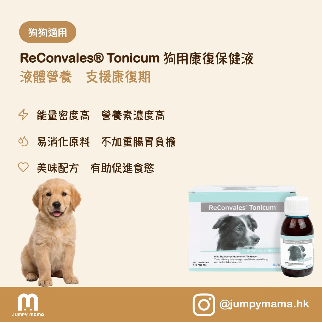 ReConvales® Tonicum Dog 開胃補身營養液｜食慾不振・體弱・老年・康復期｜狗用 6 x 90ml
