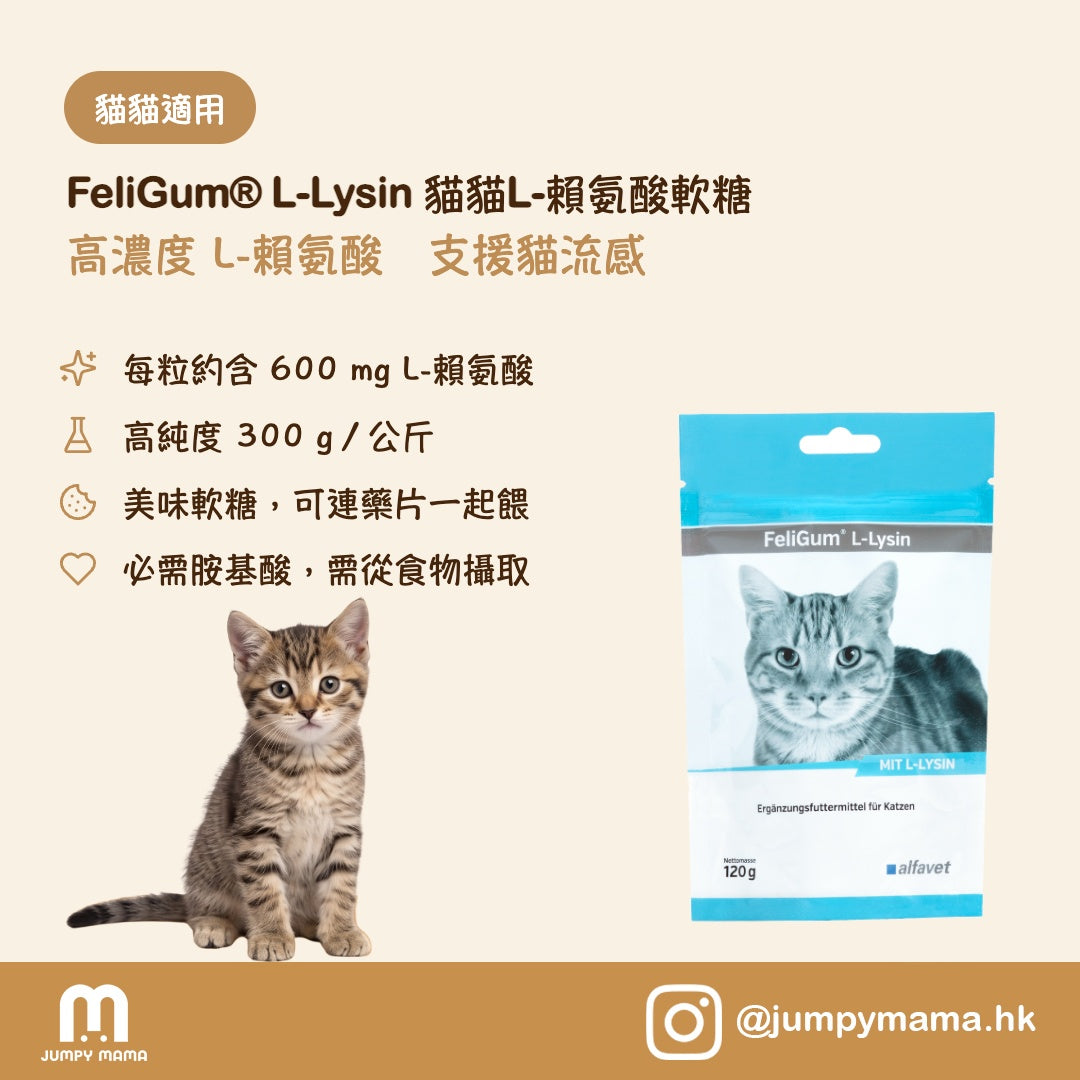 FeliGum® L-Lysin 軟糖｜L-賴氨酸配方・支援免疫力｜貓用 120g