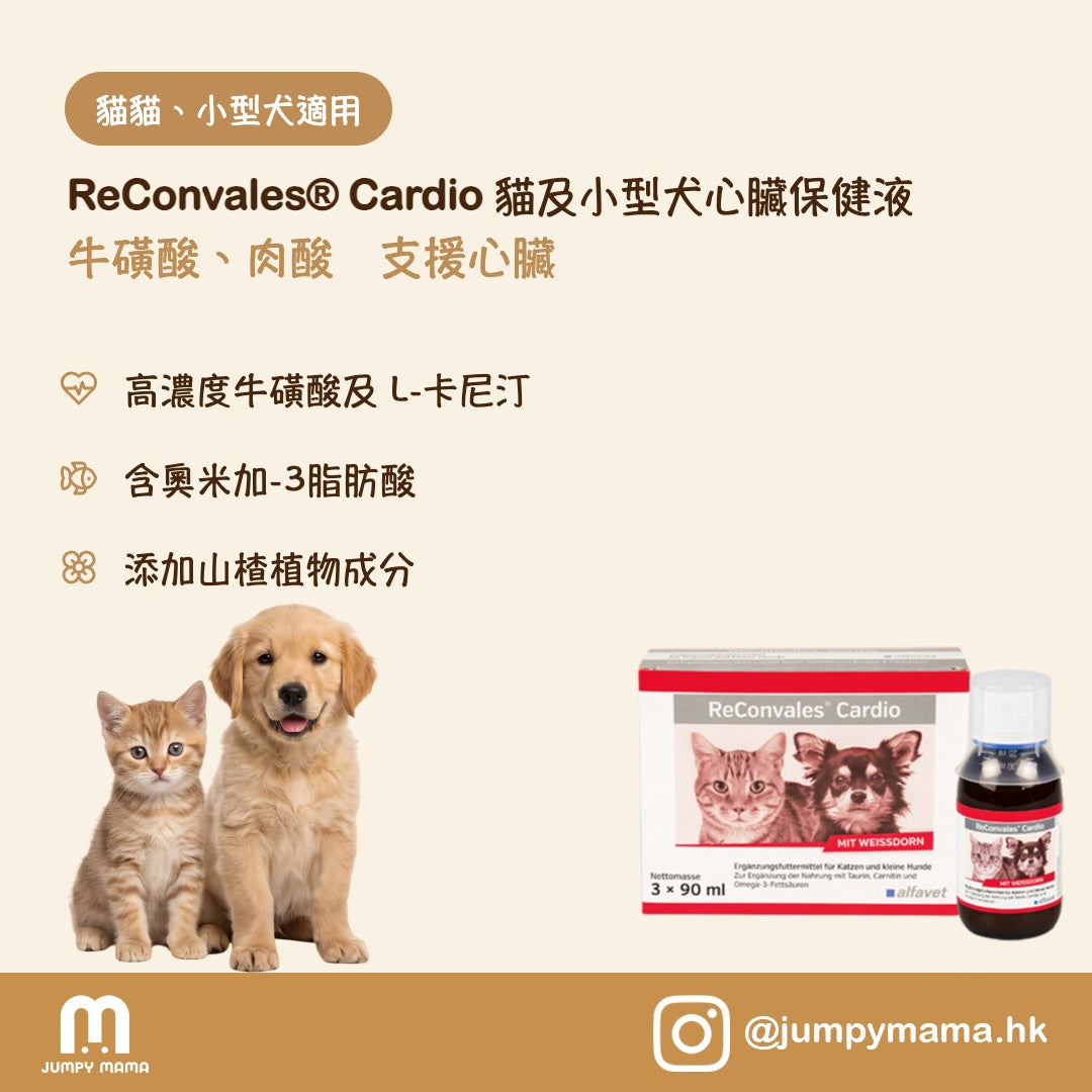 ReConvales® Cardio 心臟保健營養液｜牛磺酸 + 左旋肉鹼 + Omega-3・山楂｜貓及小型犬 3 x 90ml