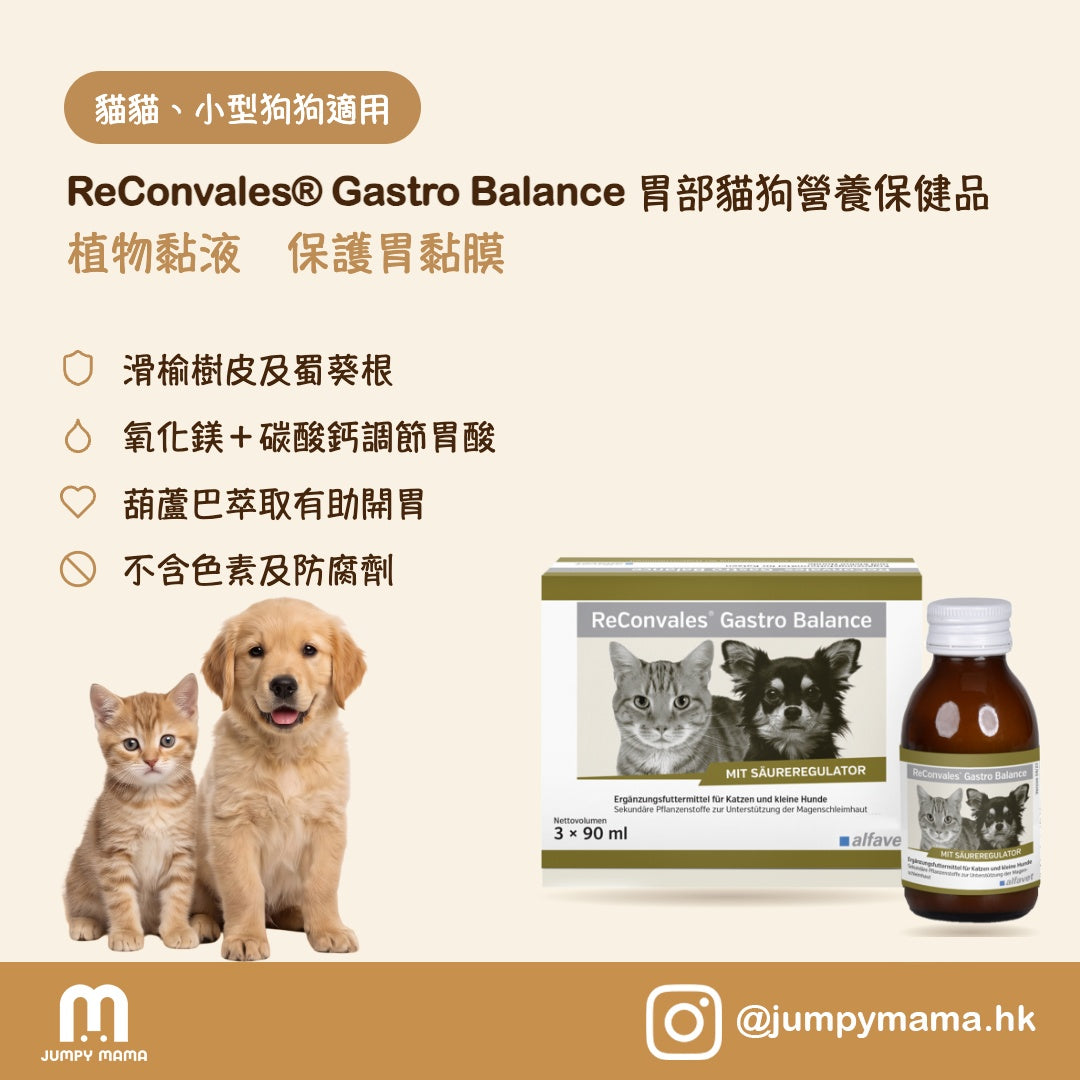 ReConvales® Gastro Balance 胃部營養保健液｜調節胃酸・刺激食慾｜貓狗用 3 x 90ml